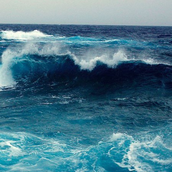 💙Unionbay - Sweater - Xl - Mens - Picture 4 of 8